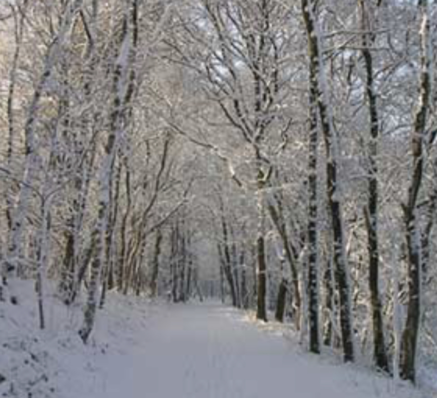 Informasjonsbrev nr. 20